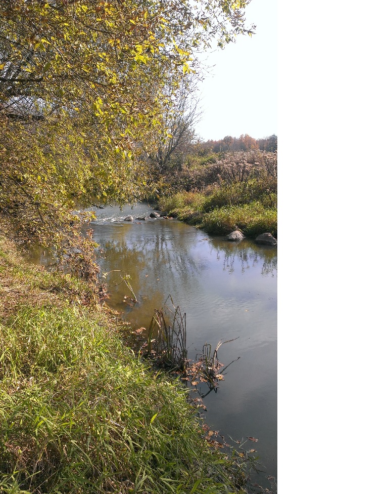 Castor River Switzer Farm