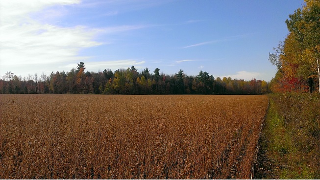 Switzer Farm East Field